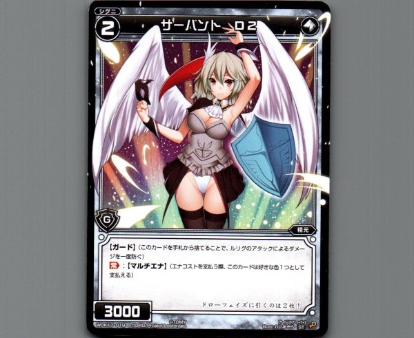 画像1: サーバント D2 (1)