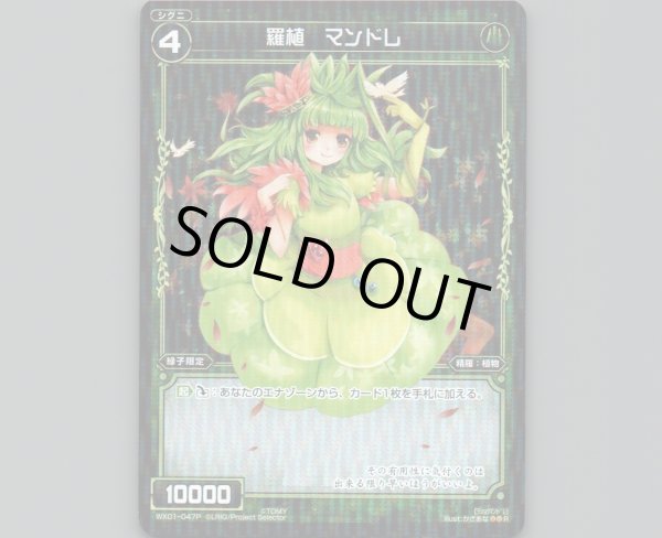 画像1: 羅植 マンドレ(パラ) (1)