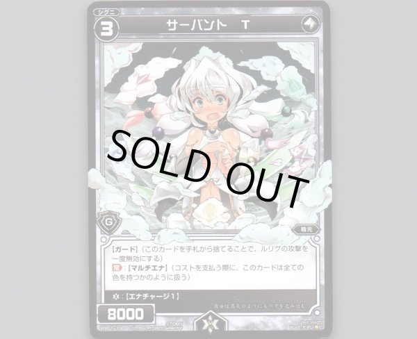 画像1: サーバント T (1)