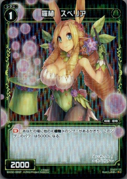 画像1: 羅植 スベリア(パラ) (1)