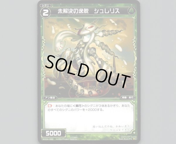 画像1: 未解決の逸脱 シュレリス (1)