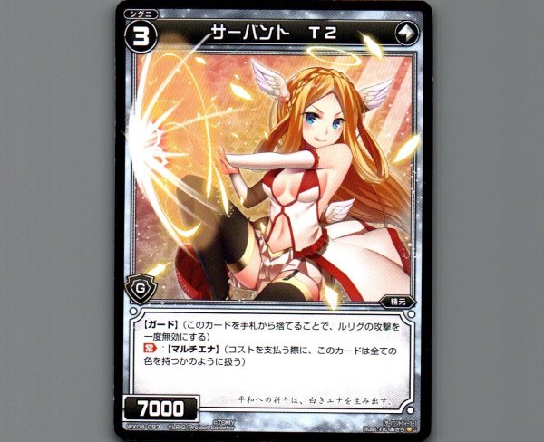 画像1: サーバント T2 (1)