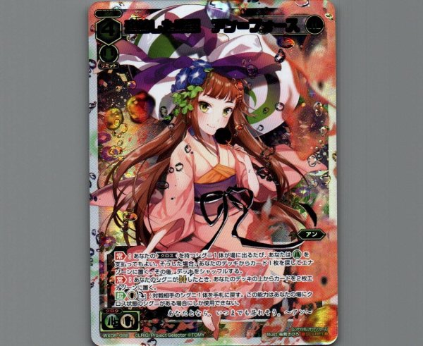 画像1: 連結した廉潔 アン＝フォース(SECRET) (1)