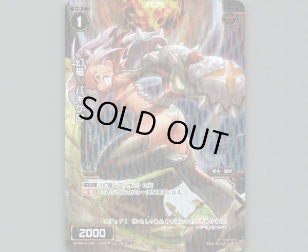 画像1: 幻竜 パキケロ(パラ) (1)