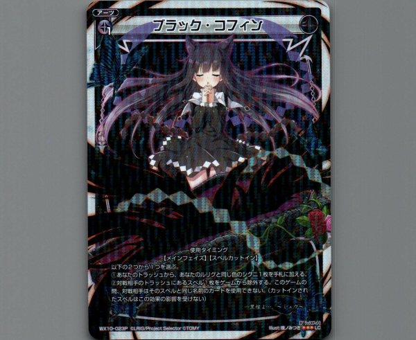 画像1: ブラック・コフィン(パラ) (1)