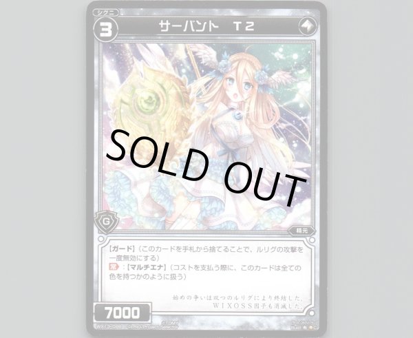 画像1: サーバント T2 (1)