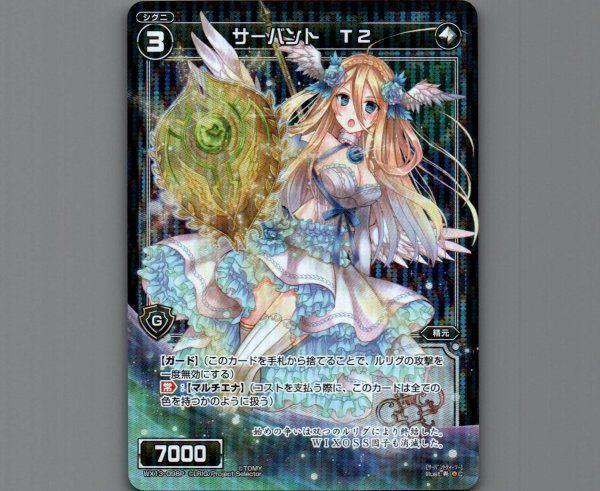 画像1: サーバント T2(パラ) (1)