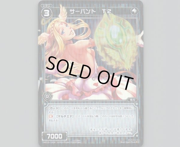 画像1: サーバント T2(パラ) (1)