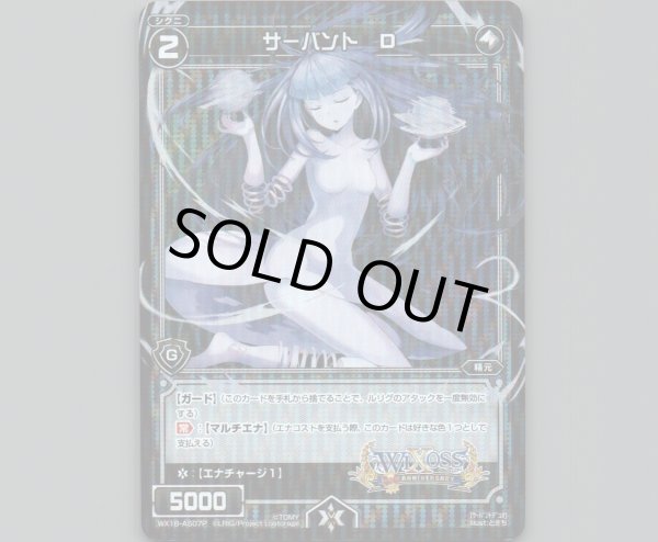 画像1: サーバント D(パラ) (1)