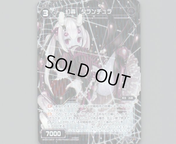 画像1: 幻蟲 タランチュラ(パラ) (1)