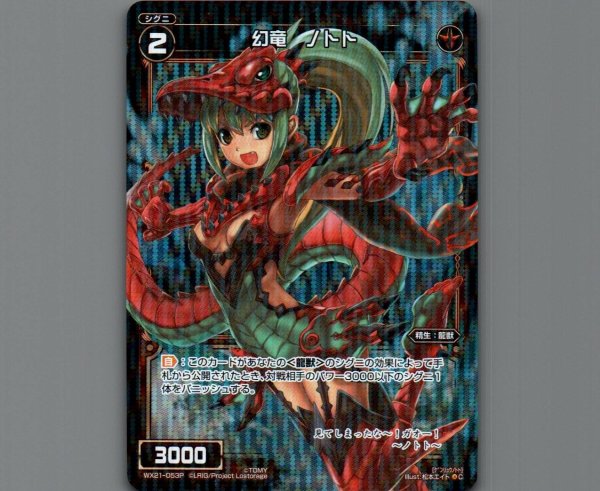 画像1: 幻竜 ノトト(パラ) (1)