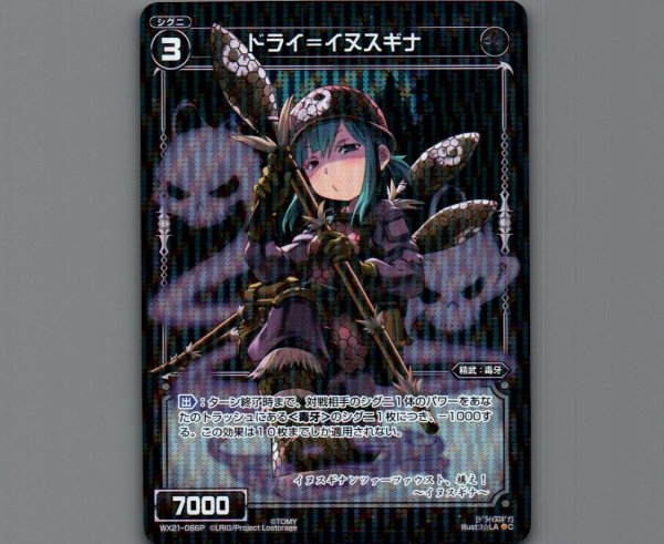 画像1: ドライ＝イヌスギナ(パラ) (1)