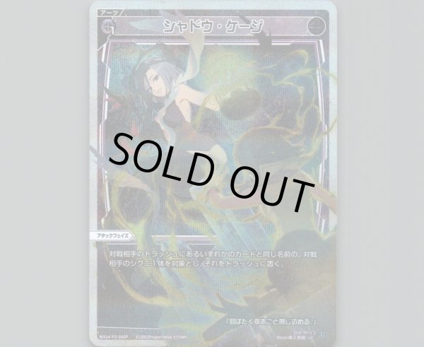 画像1: シャドウ・ケージ(パラ) (1)