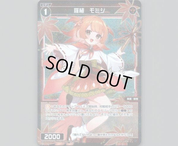 画像1: 羅植　モミジ(パラ) (1)