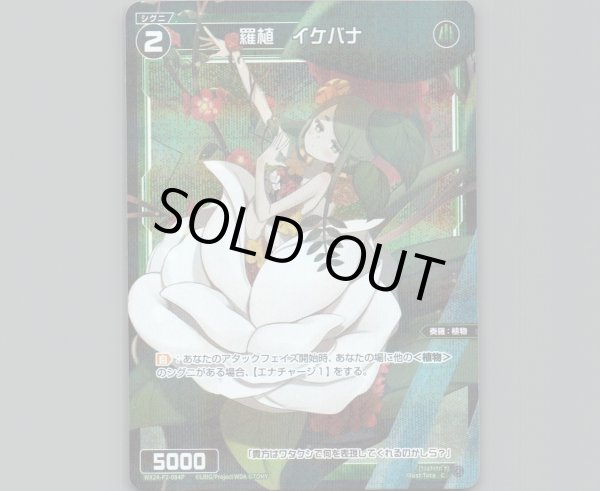 画像1: 羅植 イケバナ(パラ) (1)