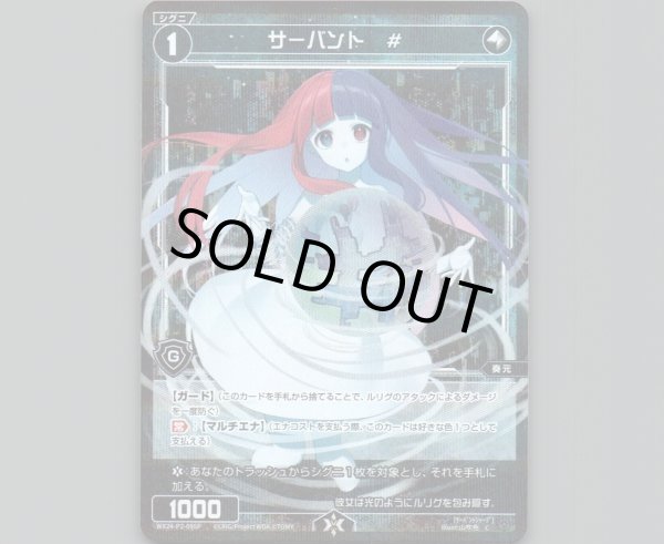 画像1: サーバント　#(パラ) (1)