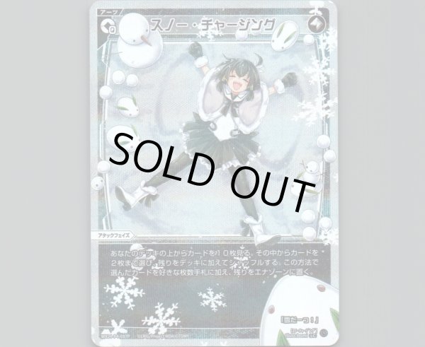 画像1: スノー・チャージング(パラ) (1)