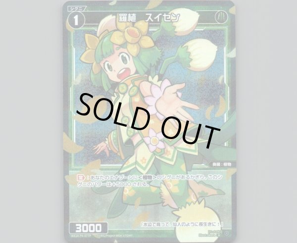 画像1: 羅植 スイセン(パラ) (1)