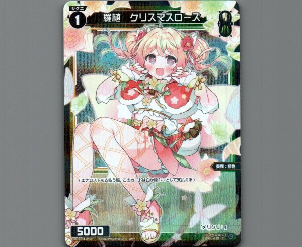 画像1: 羅植 クリスマスローズ(パラ) (1)