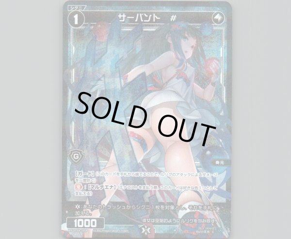 画像1: サーバント #(パラ) (1)