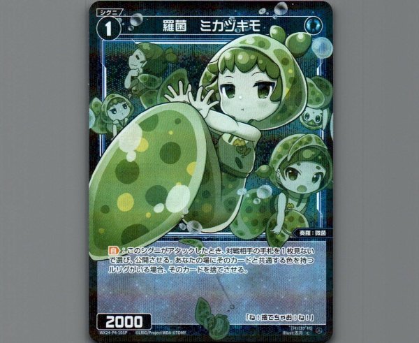 画像1: 羅菌 ミカヅキモ(パラ) (1)