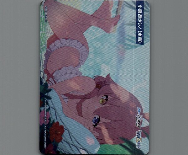 画像1: 小鳥遊ホシノ(水着) (1)