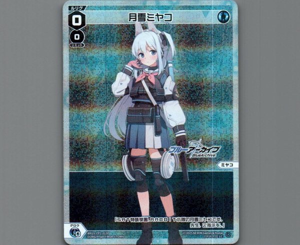 画像1: 月雪ミヤコ(パラ) (1)