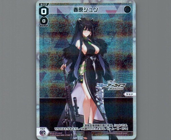 画像1: 春原シュン(パラ) (1)