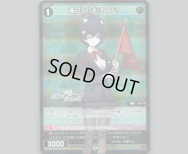 画像1: 春日ツバキ(ガイド)(パラ) (1)