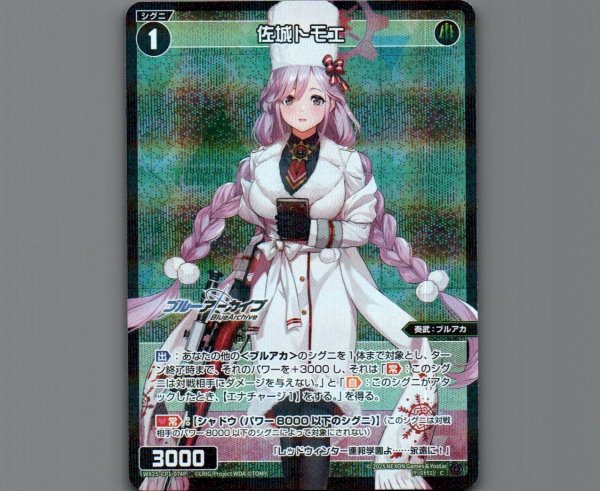 画像1: 佐城トモエ(パラ) (1)