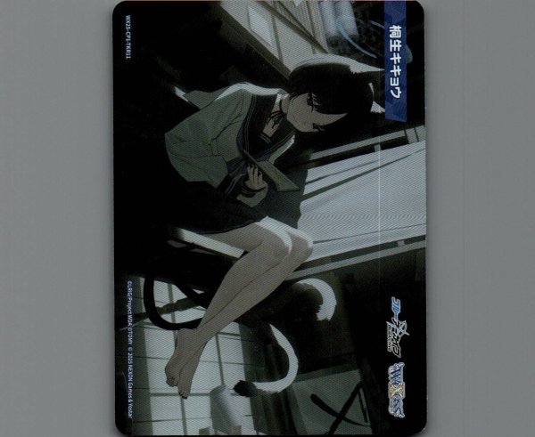 画像1: 桐生キキョウ (1)