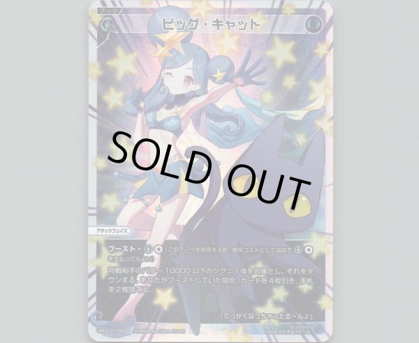 画像1: ビッグ・キャット (1)