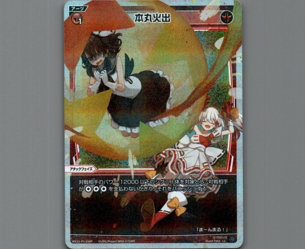 画像1: 本丸火出(パラ) (1)