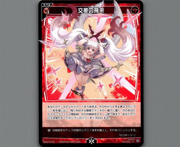 画像1: 交差の飛来 (1)