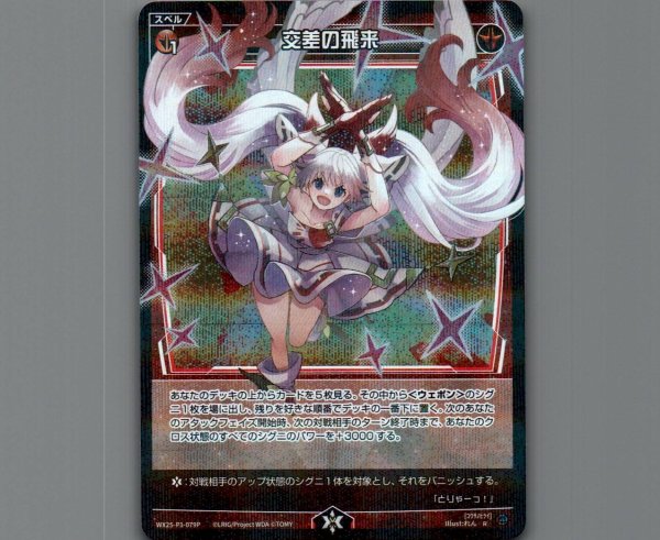 画像1: 交差の飛来(パラ) (1)