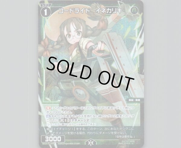 画像1: コードライド　イネカリキ(パラ) (1)