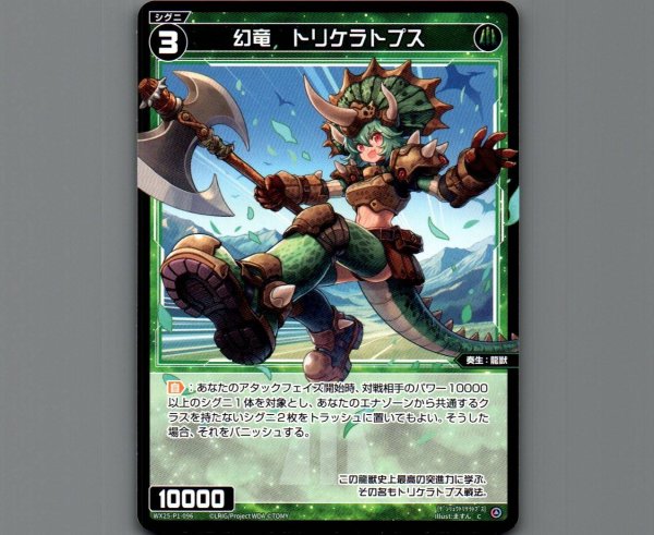 画像1: 幻竜　トリケラトプス (1)