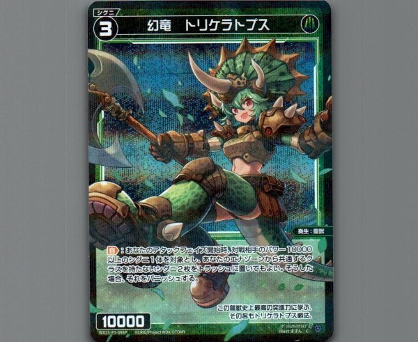 画像1: 幻竜　トリケラトプス(パラ) (1)