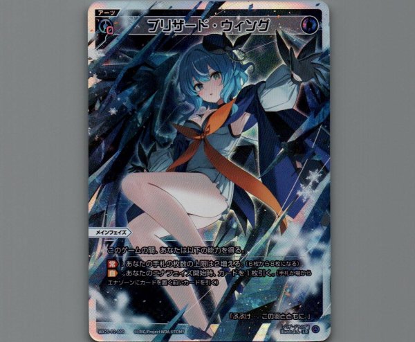 画像1: ブリザード・ウィング (1)