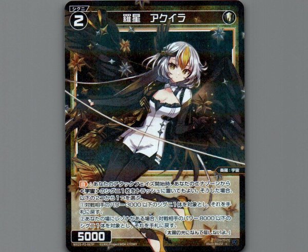 画像1: 羅星 アクイラ(パラ) (1)