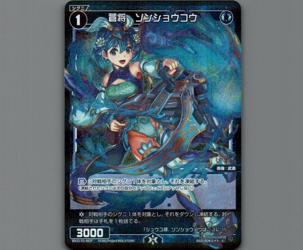 画像1: 蒼将 ソンショウコウ(パラ) (1)