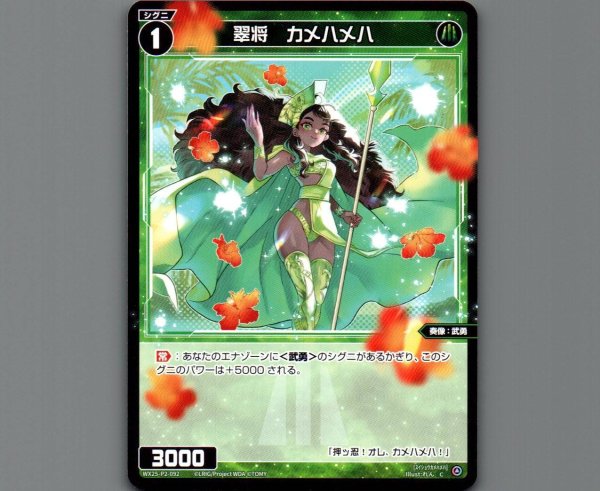 画像1: 翠将 カメハメハ (1)