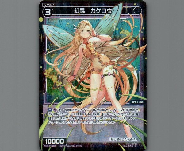 画像1: 幻蟲 カゲロウ(パラ) (1)