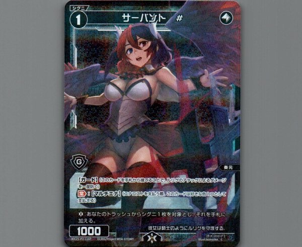 画像1: サーバント #(パラ) (1)