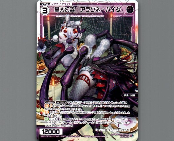 画像1: 黒大幻蟲 アラクネ・パイダ (1)