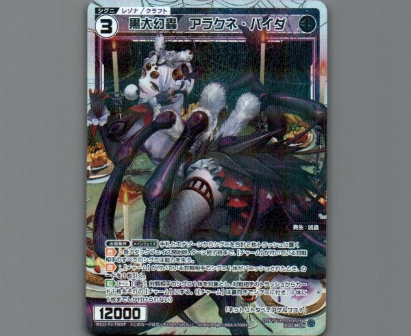画像1: 黒大幻蟲 アラクネ・パイダ(パラ) (1)
