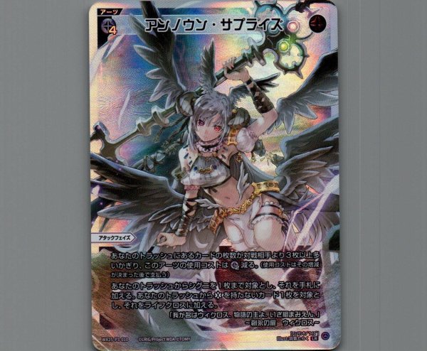 画像1: アンノウン・サプライズ (1)