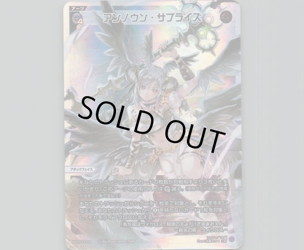 画像1: アンノウン・サプライズ (1)