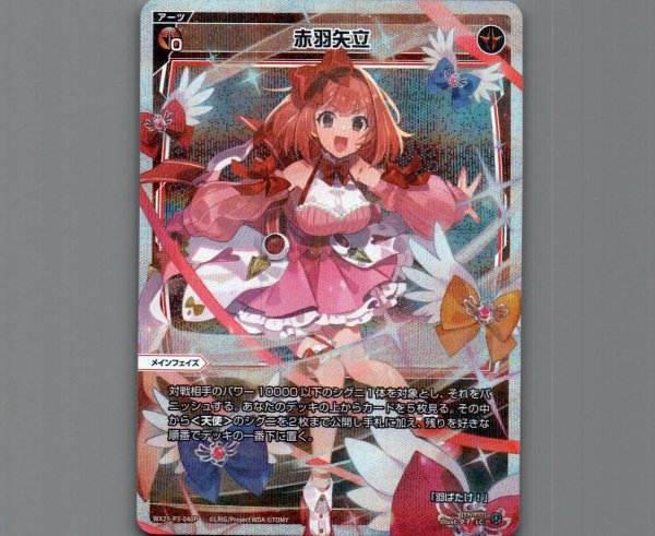 画像1: 赤羽矢立(パラ) (1)