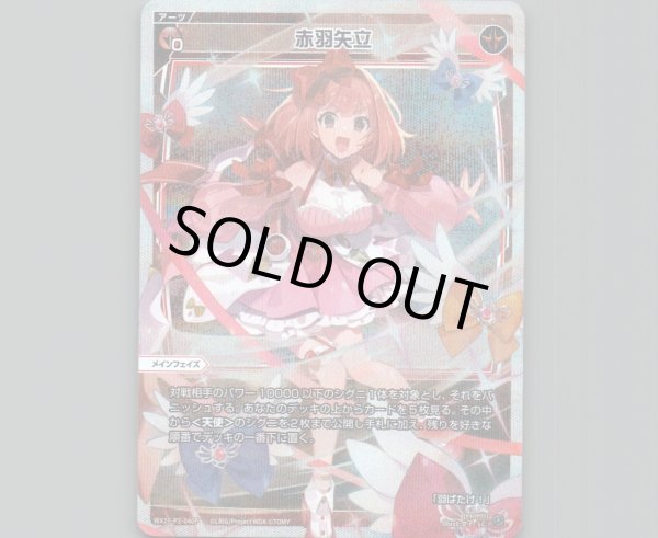 画像1: 赤羽矢立(パラ) (1)